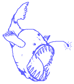 Angler Fish